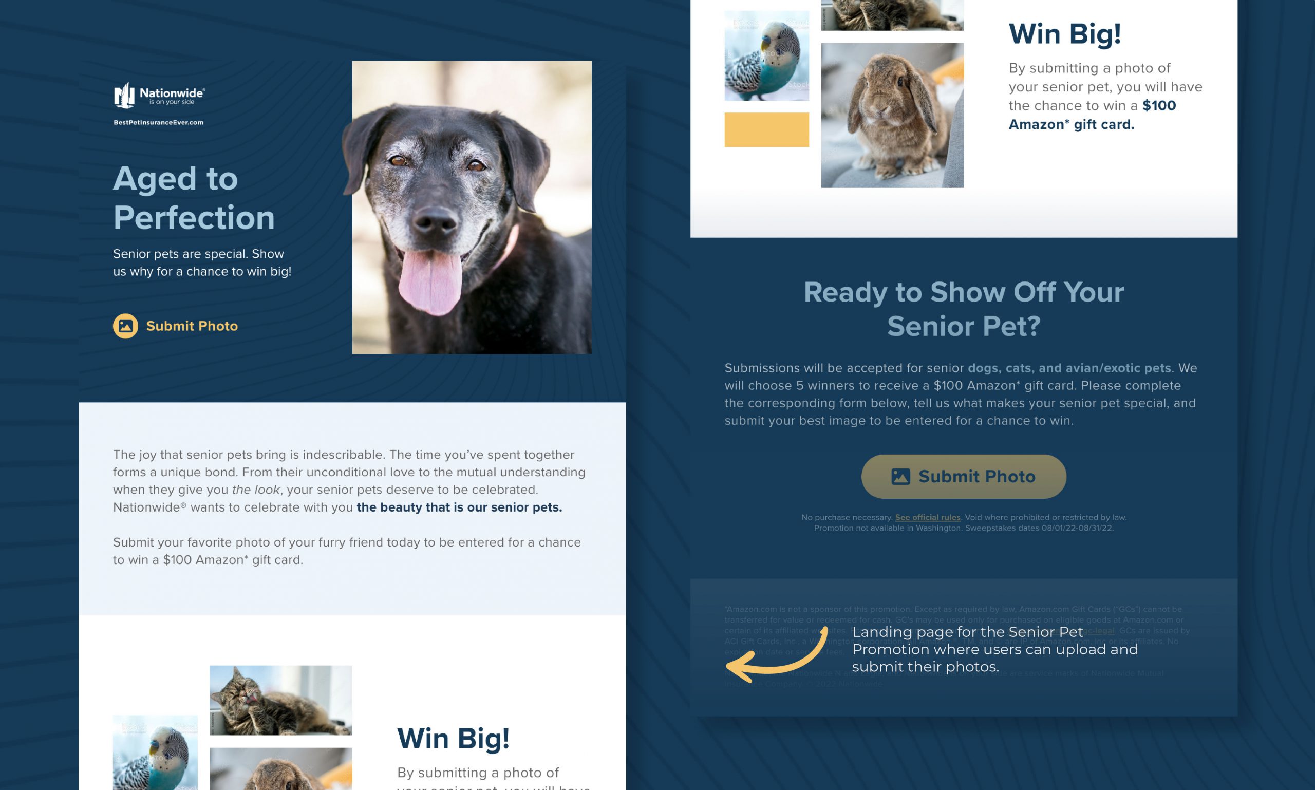 Nationwide Senior Pet Promo | Users can upload and submit their photos.