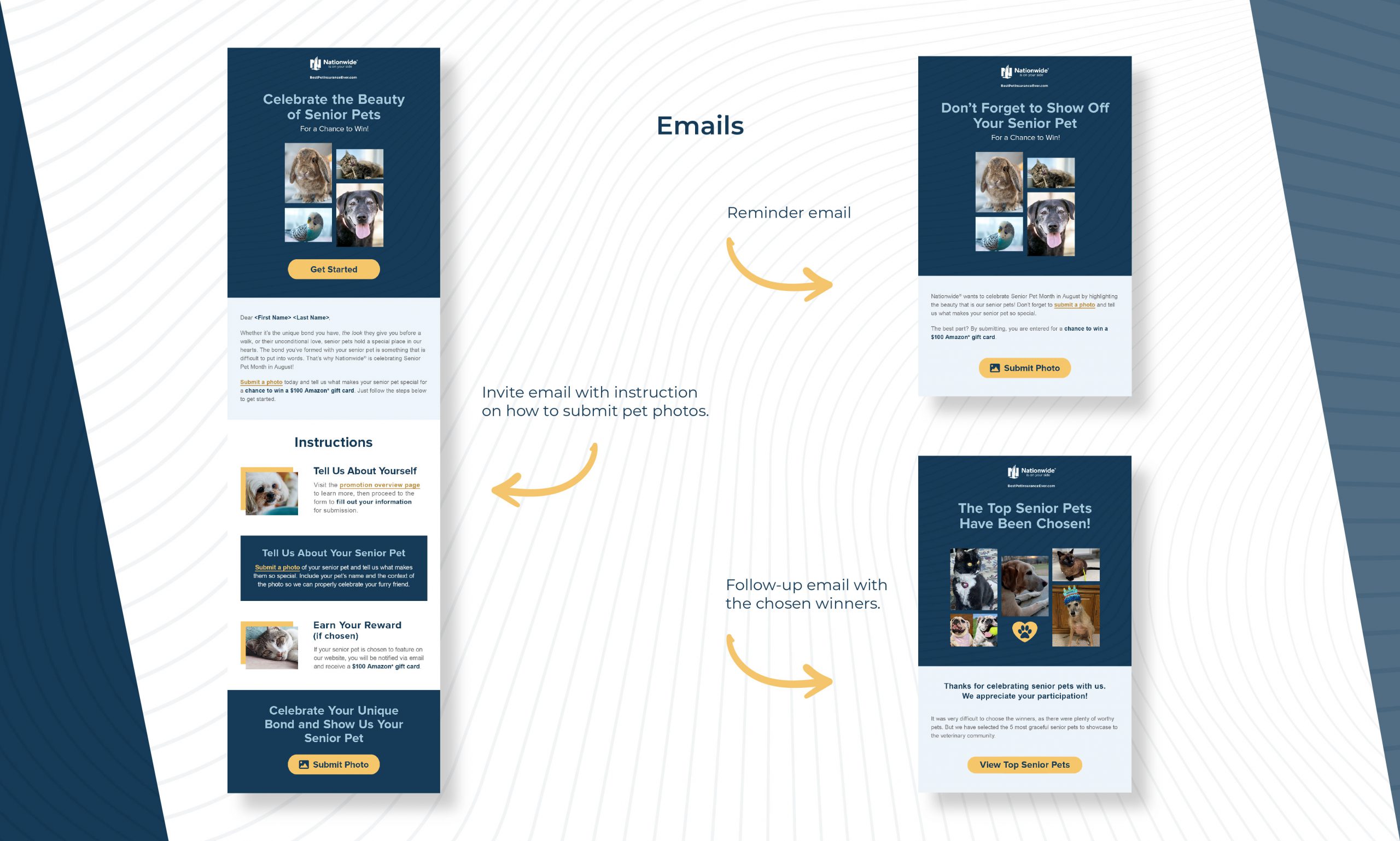 Nationwide Senior Pet Promo | Invite and reminder emails instruct users on how to submit their pet photos. The follow-up email announces chosen winners.