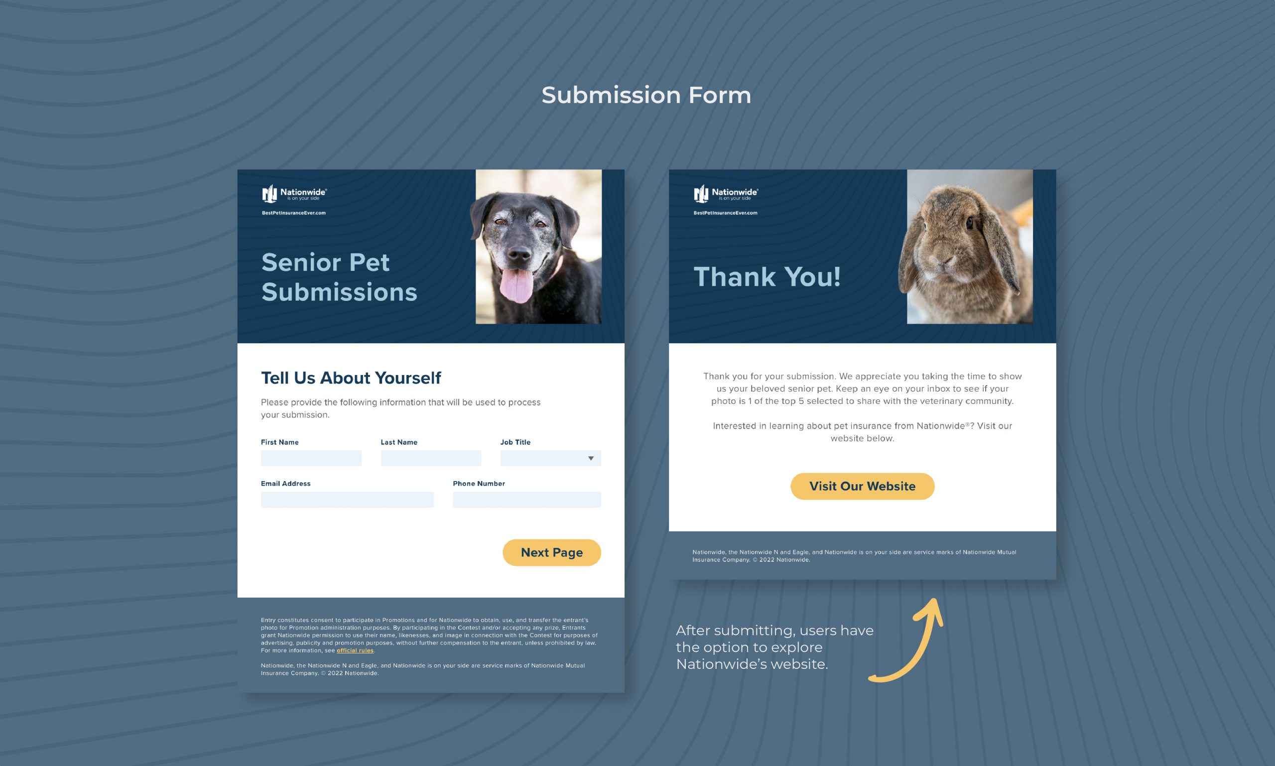Nationwide Senior Pet Promo | Users submit pet photos.