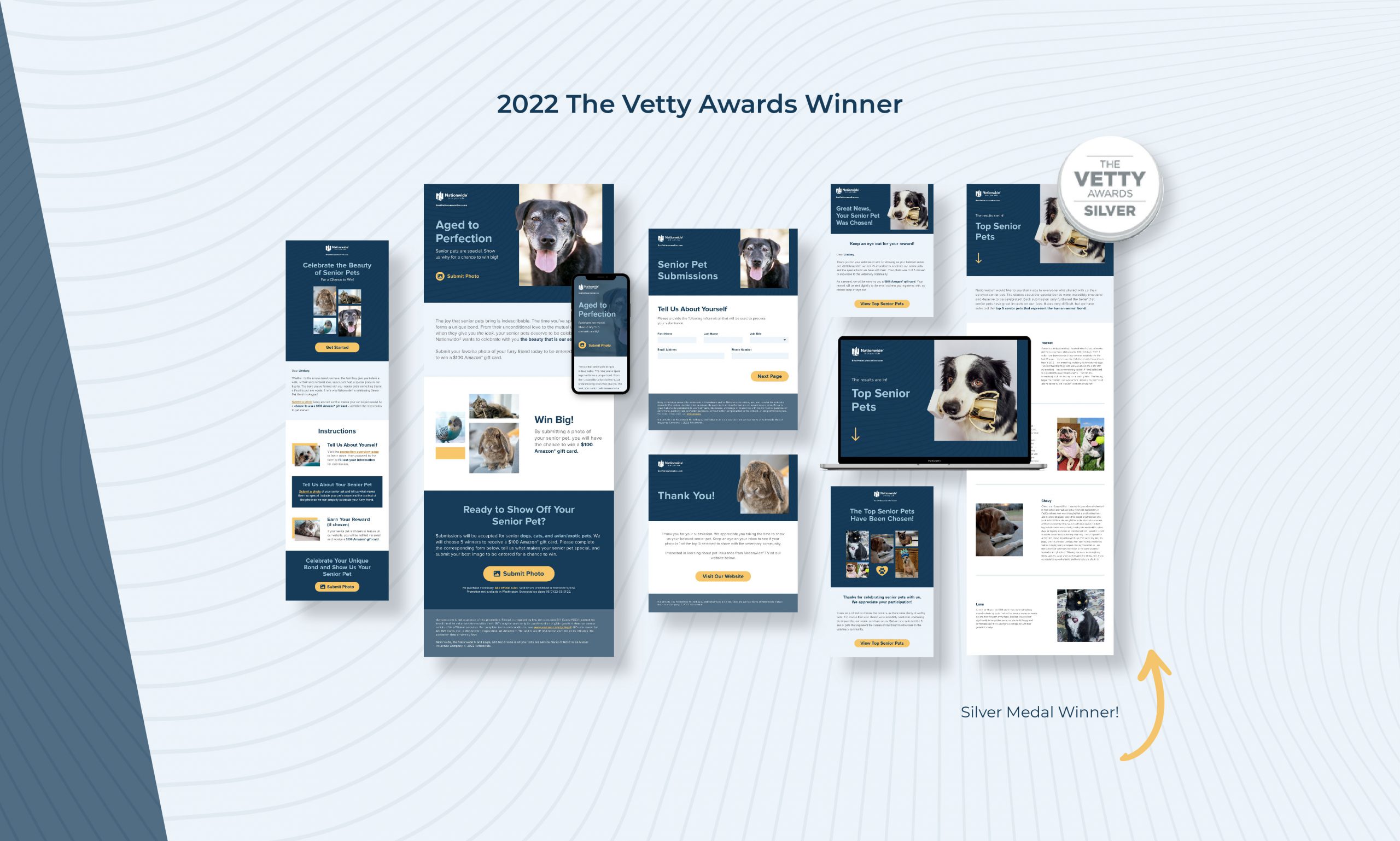 Nationwide Senior Pet Promo | The Vetty Awards 2022 Silver Medal Winner